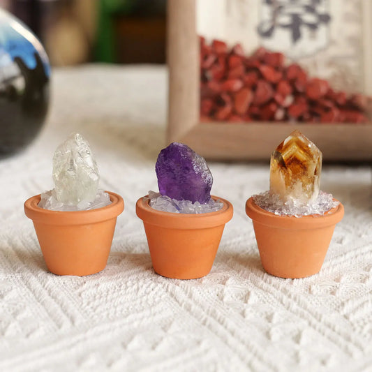 CrystalRoot™ Mini Gem Pot