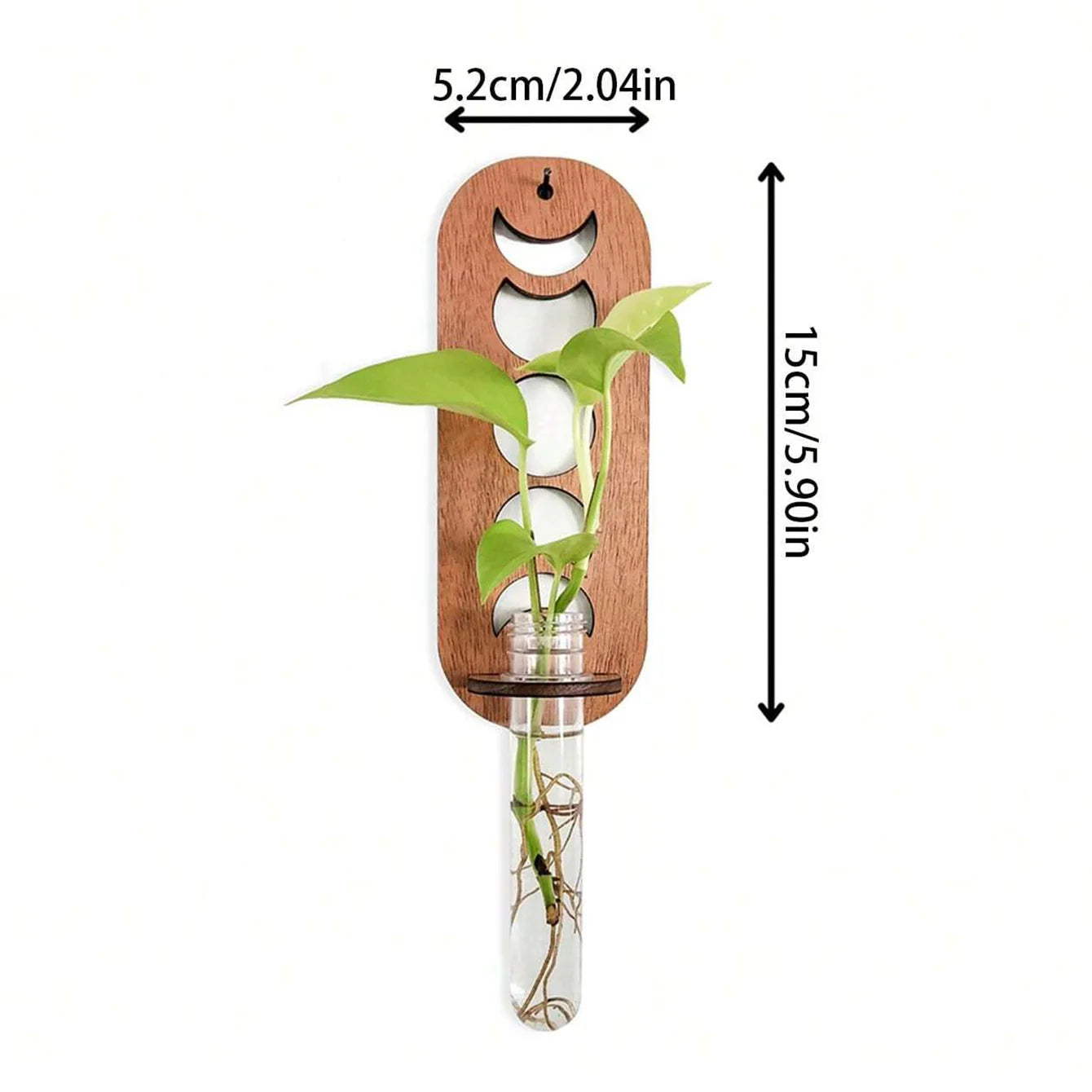 Celestial Wall Planters