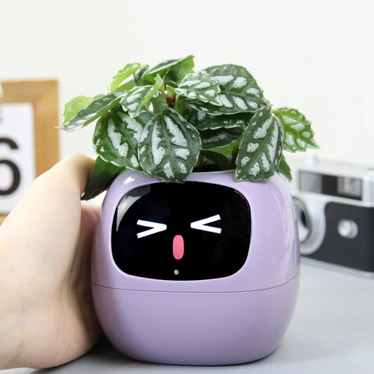Ivy Smart Pot