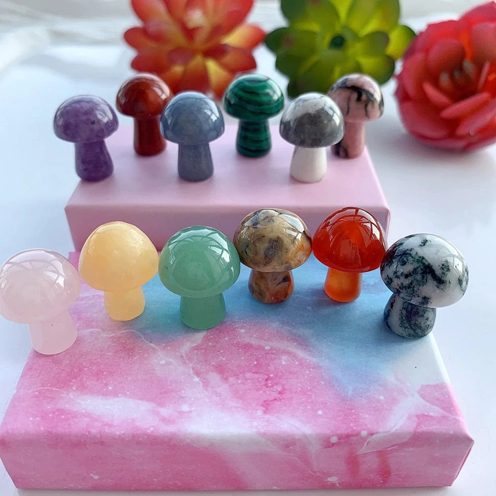 12pc Natural Crystal Mini Mushroom Gift Box Blackbrdstore