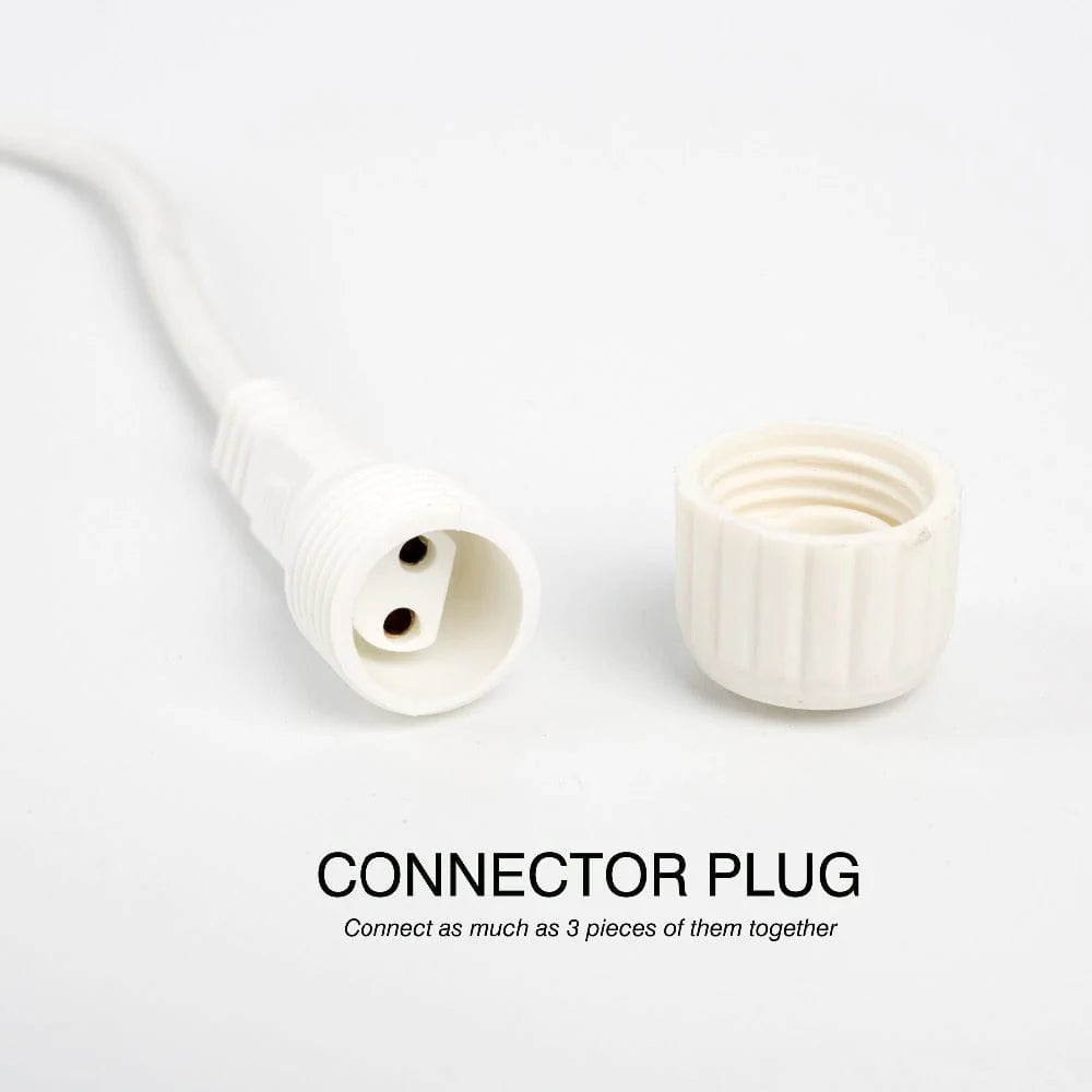 Bulbs String Festoon Lights Blackbrdstore