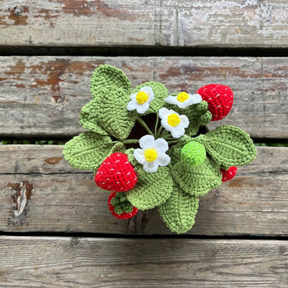 Crochet Mini Strawberry Plant Blackbrdstore