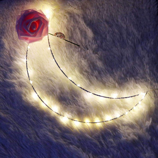 Cute Moon Hanger Lights Blackbrdstore