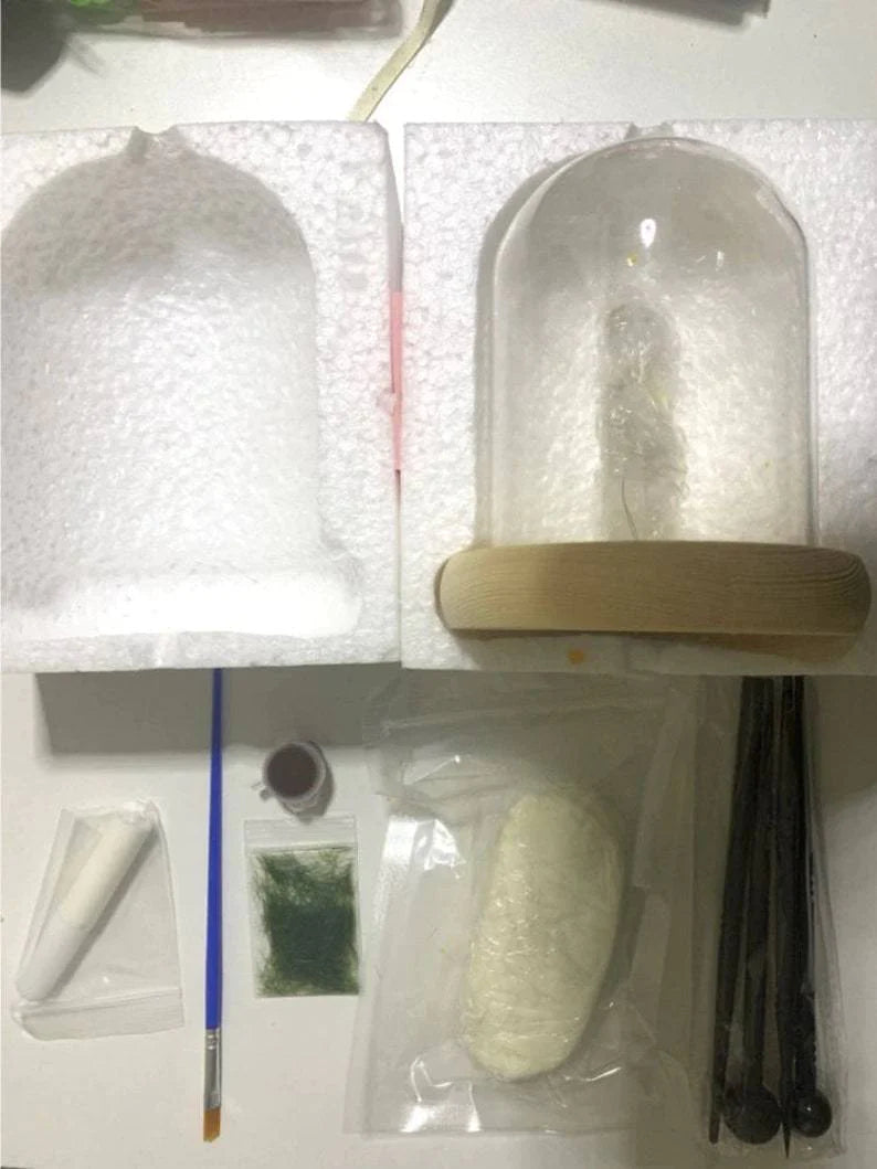 DIY Mushrooms in Forests Light Blackbrdstore