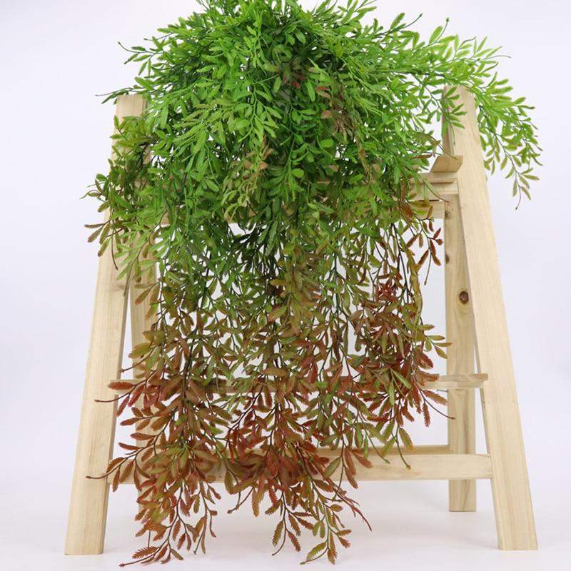 Greenery Ferns Plants Blackbrdstore