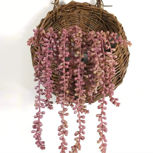 Greenery Ferns Plants Blackbrdstore