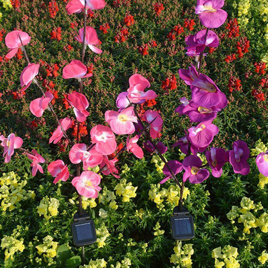 Moth Orchid Led Garden Lights Pack of 2 Blackbrdstore