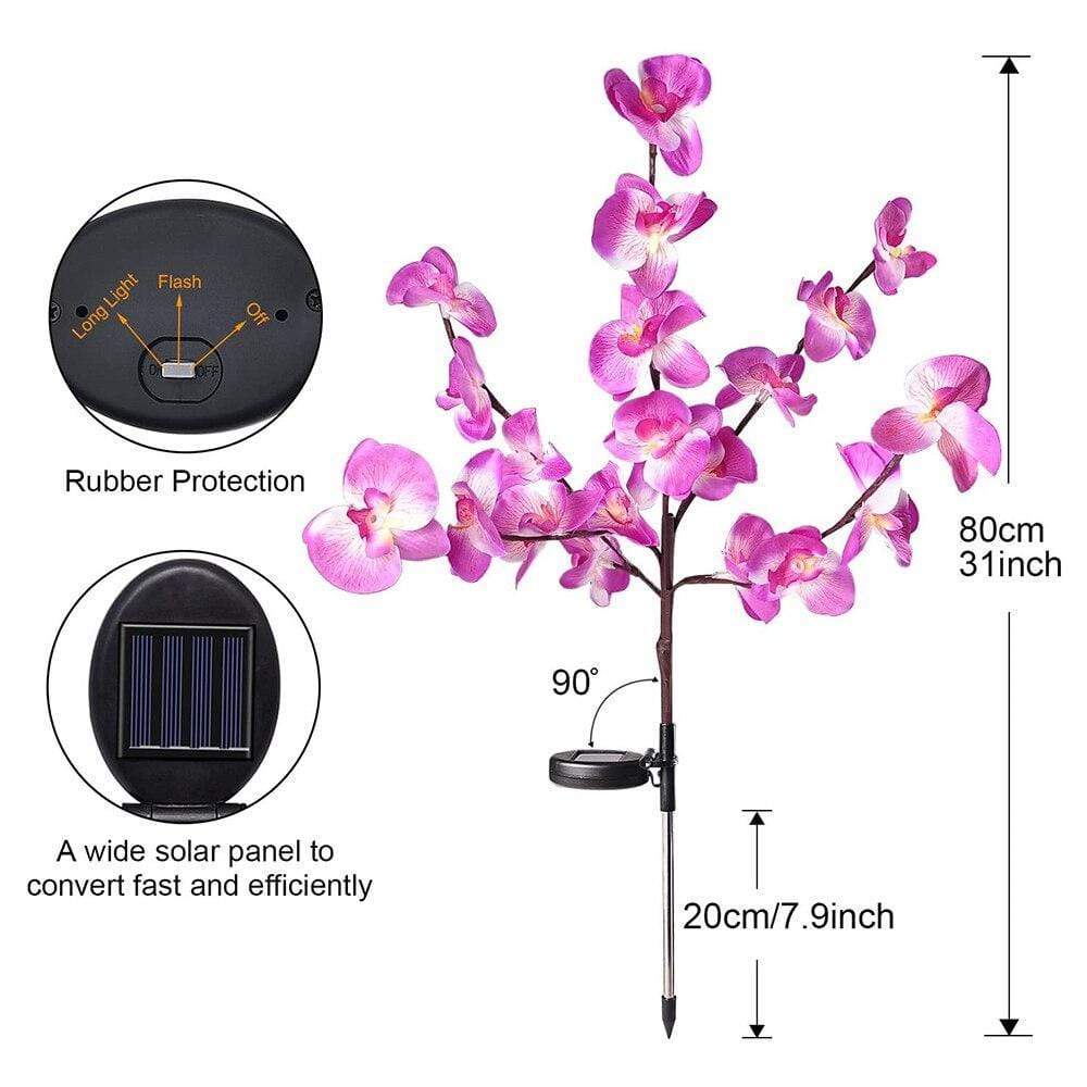 Moth Orchid Led Garden Lights Pack of 2 Blackbrdstore