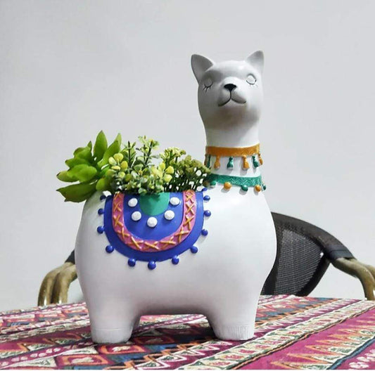 Plant- A- Lpaca Blackbrdstore