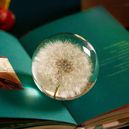 Real Dandelion Crystal Lens Ball Blackbrdstore