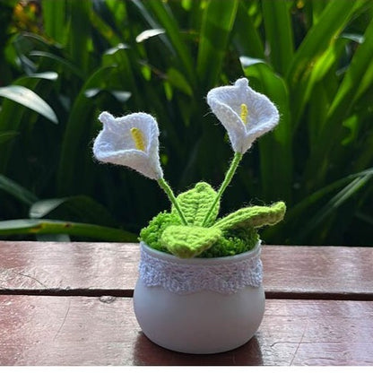 Hand Knitted Mini Potted Calla Lily