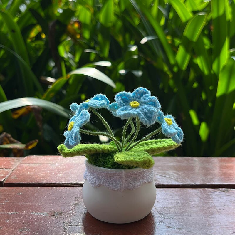 Hand Knitted Mini Potted Myosotis Flower