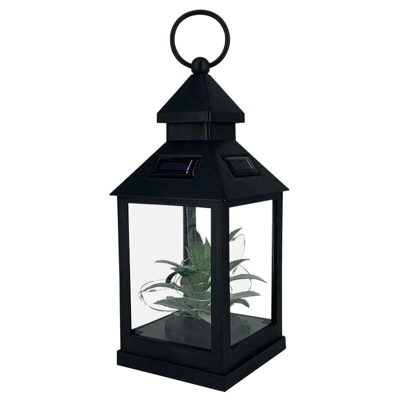 Solar Plant Lantern Blackbrdstore