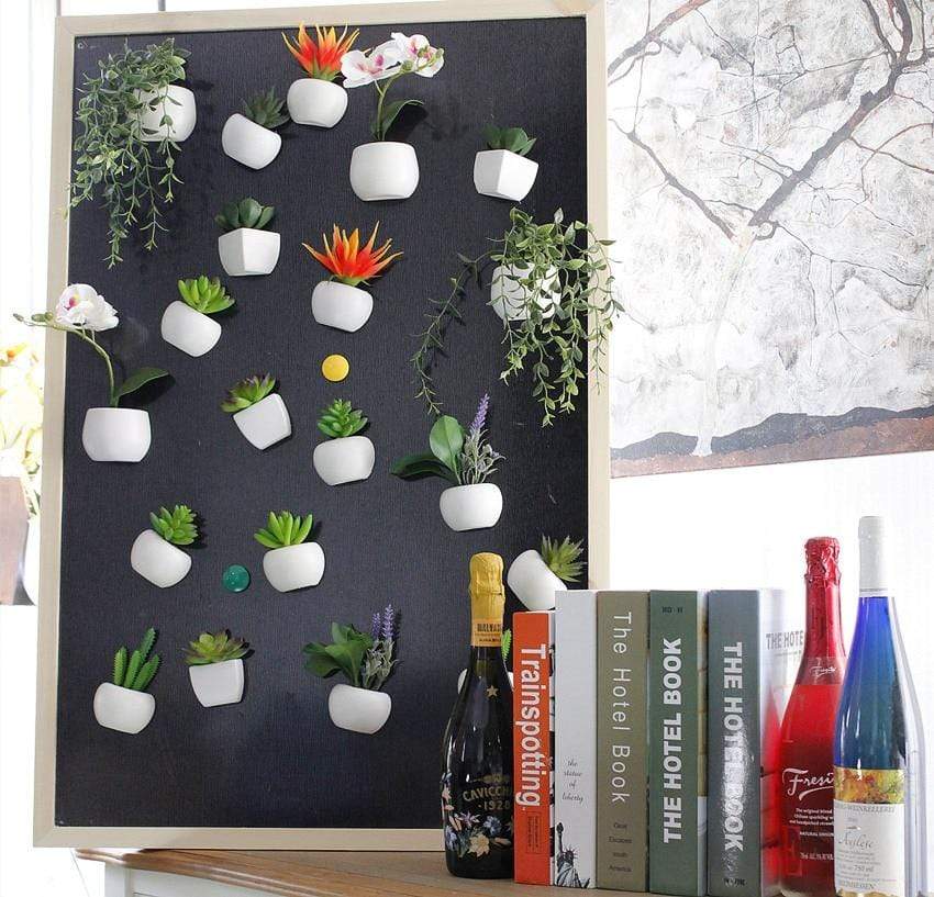 Succulent Plant Fridge Magnet Blackbrdstore