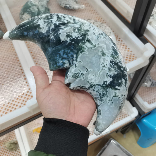 Water Grass Agate Moon Face Crystal Blackbrdstore