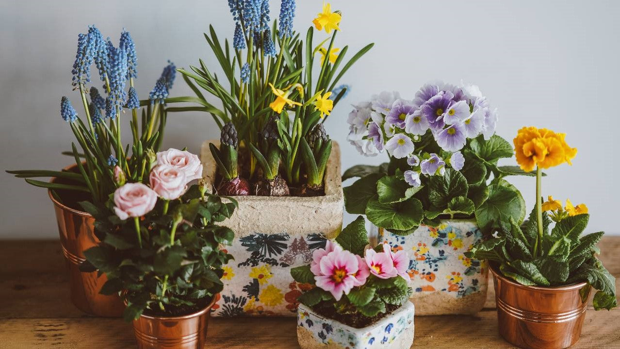 Planters & Vases