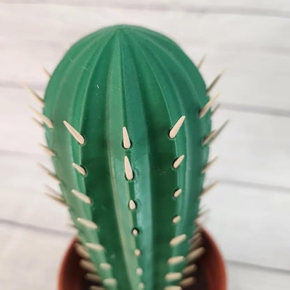 Cactus Toothpick Holder