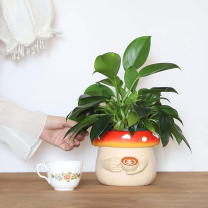 Shroom Coffee Flower Pot