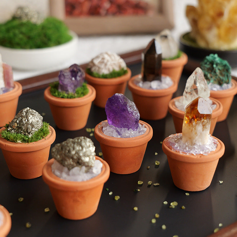 CrystalRoot™ Mini Gem Pot