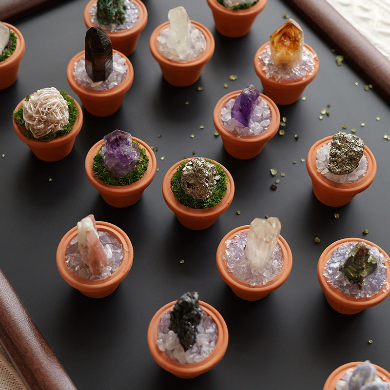 CrystalRoot™ Mini Gem Pot