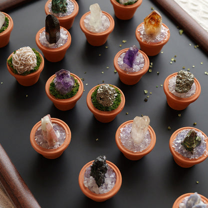 CrystalRoot™ Mini Gem Pot