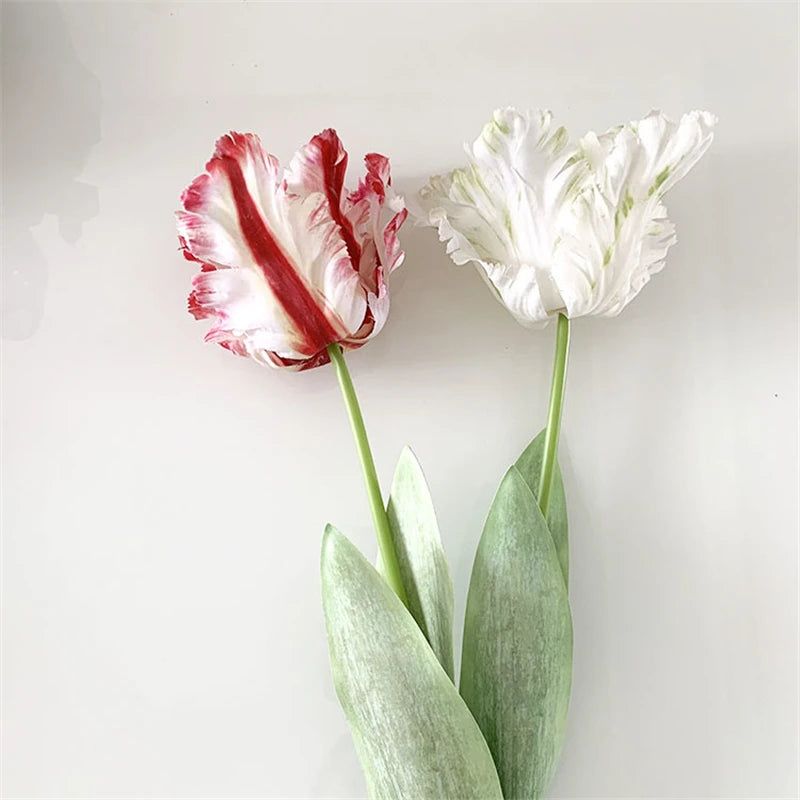 arth Mouton Boa Tulip-