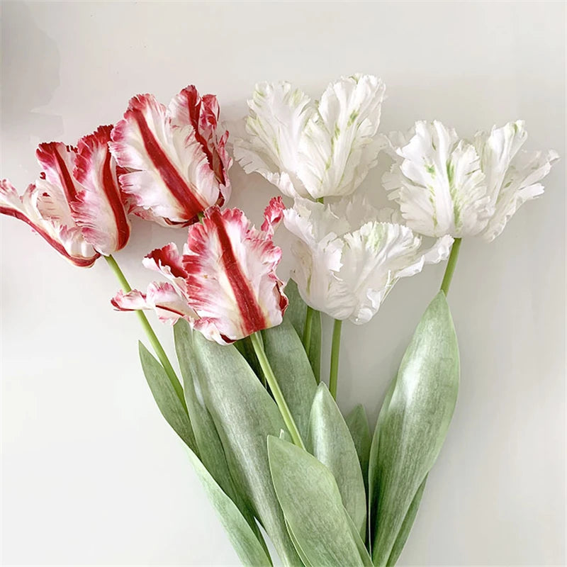 arth Mouton Boa Tulip-