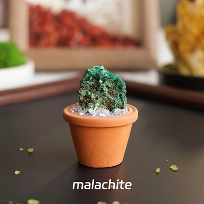 CrystalRoot™ Mini Gem Pot