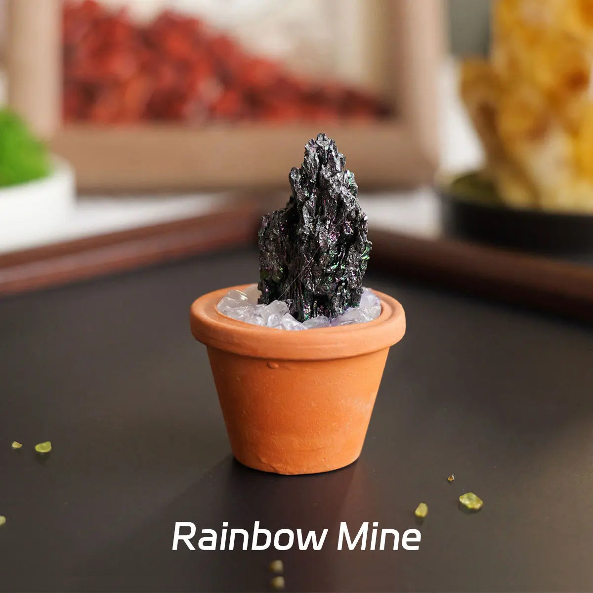 CrystalRoot™ Mini Gem Pot