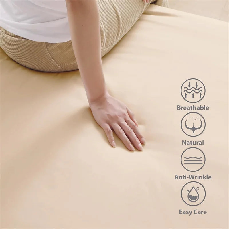 VENTRA 800TC Egyptian Cotton Sheet