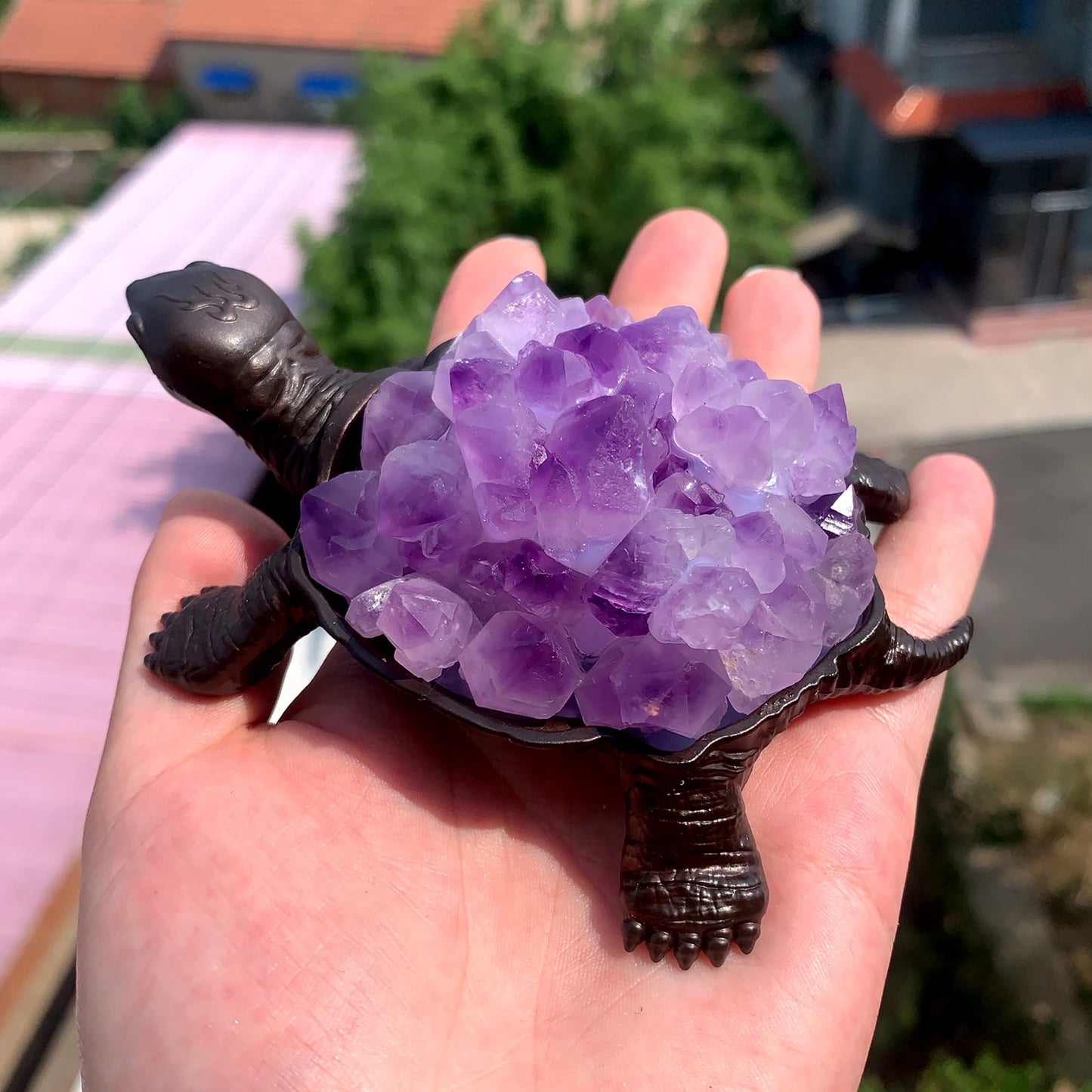 Amethyst Guardian Turtle