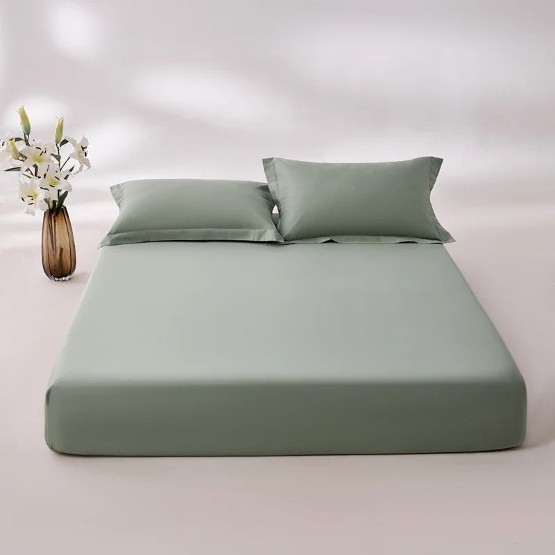 VENTRA 800TC Egyptian Cotton Sheet