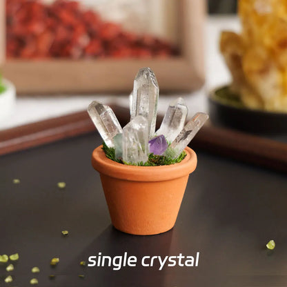 CrystalRoot™ Mini Gem Pot