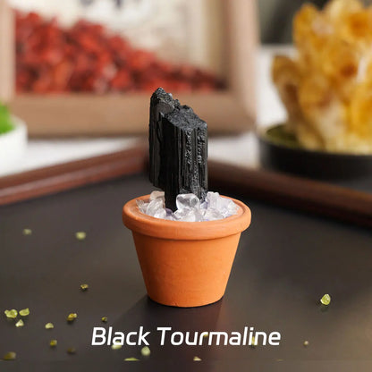CrystalRoot™ Mini Gem Pot