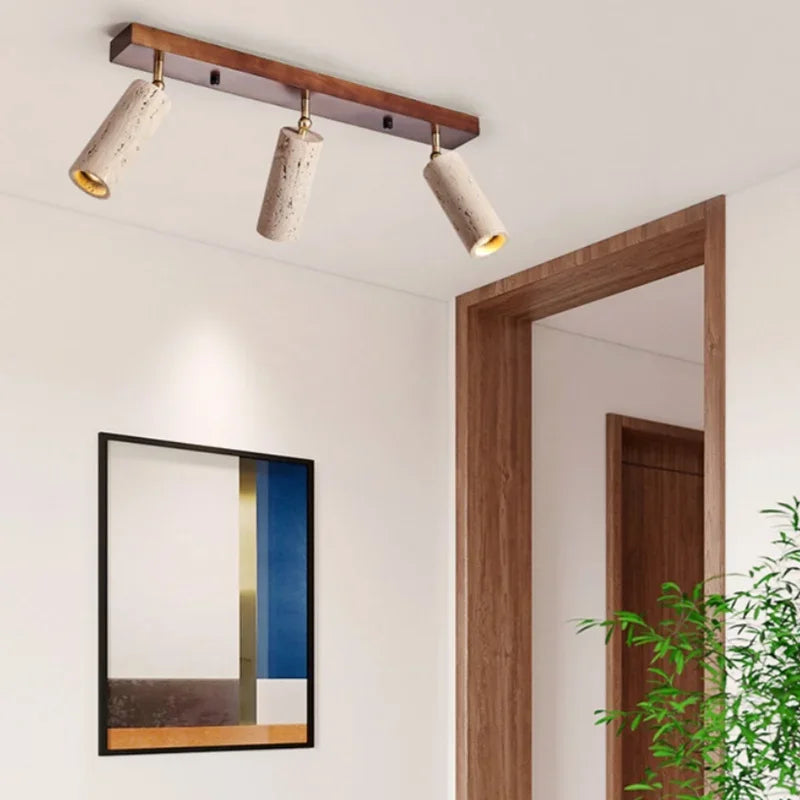 Terra Beam Ceiling Spotlight