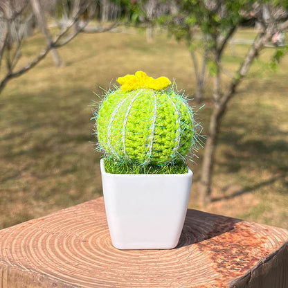 Hand-Knitted Cactus Plant