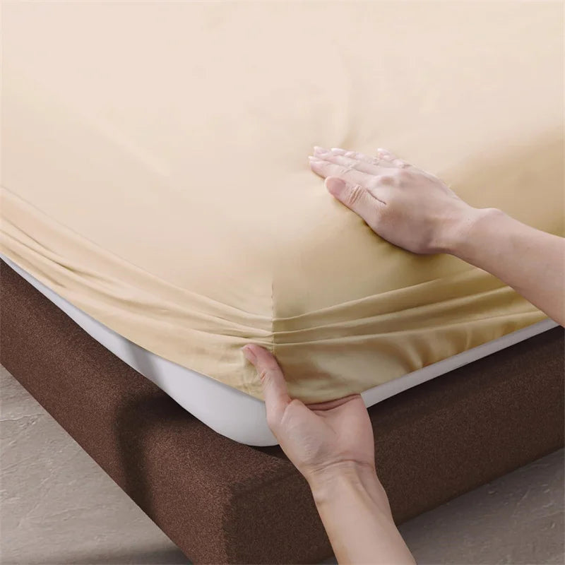 VENTRA 800TC Egyptian Cotton Sheet