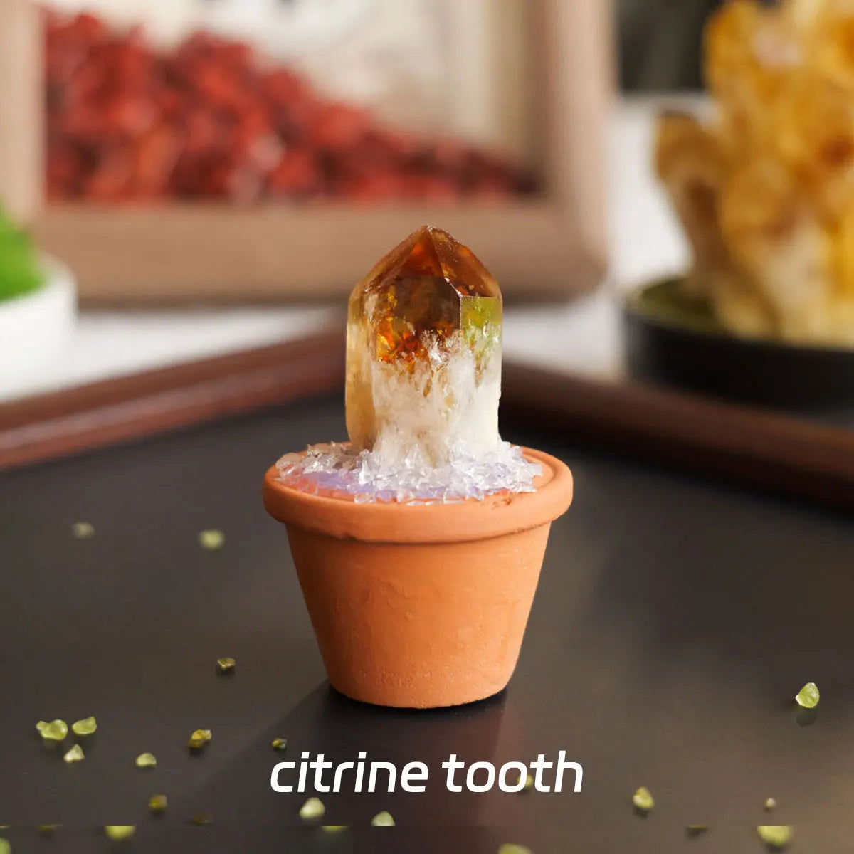 CrystalRoot™ Mini Gem Pot