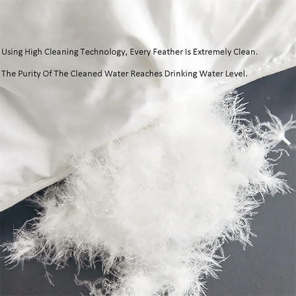 LUCENTE Goose Down Duvet