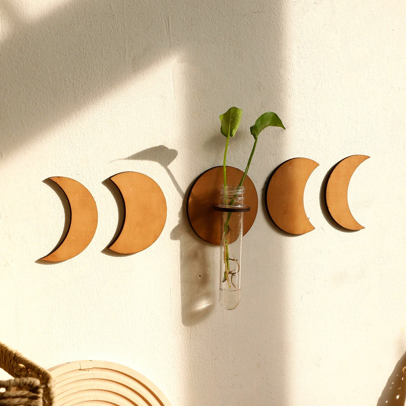 Moon Phase Wall Hanging with Glass Vase
