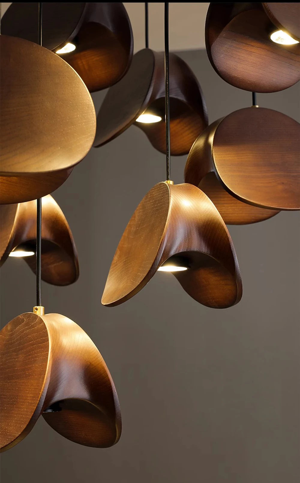 Petal Bloom Theory Pendant Light