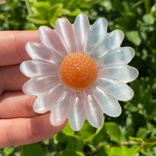 Selenite Daisy Bloom Crystal
