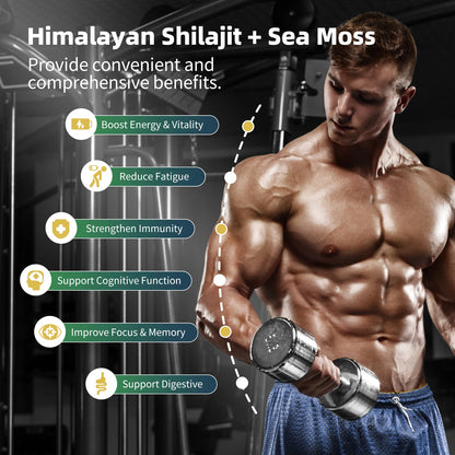 Shilajit & Sea Moss Supplement Set
