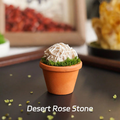 CrystalRoot™ Mini Gem Pot