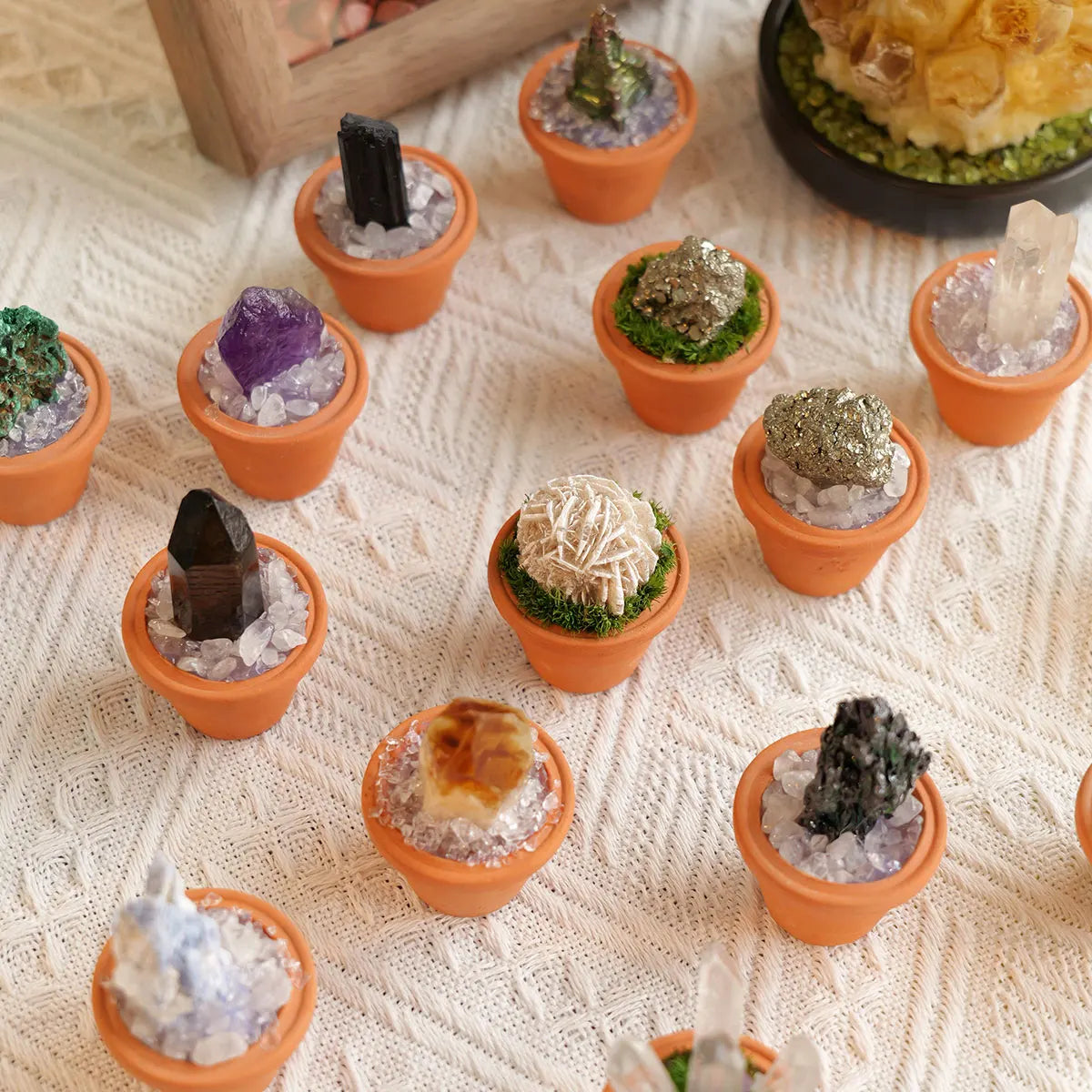 CrystalRoot™ Mini Gem Pot