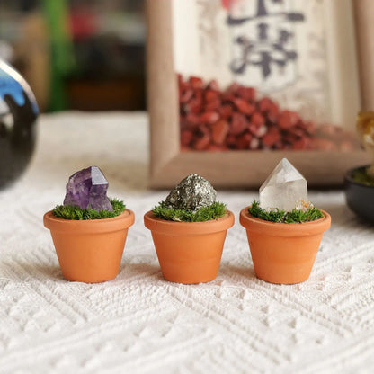 CrystalRoot™ Mini Gem Pot