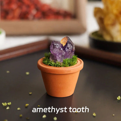 CrystalRoot™ Mini Gem Pot