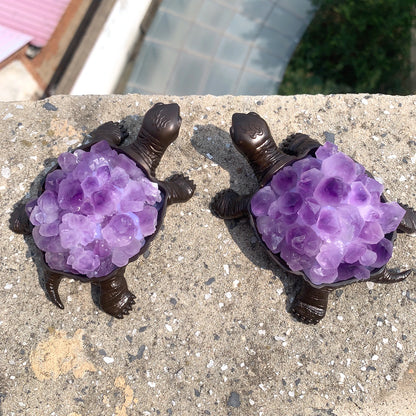 Amethyst Guardian Turtle