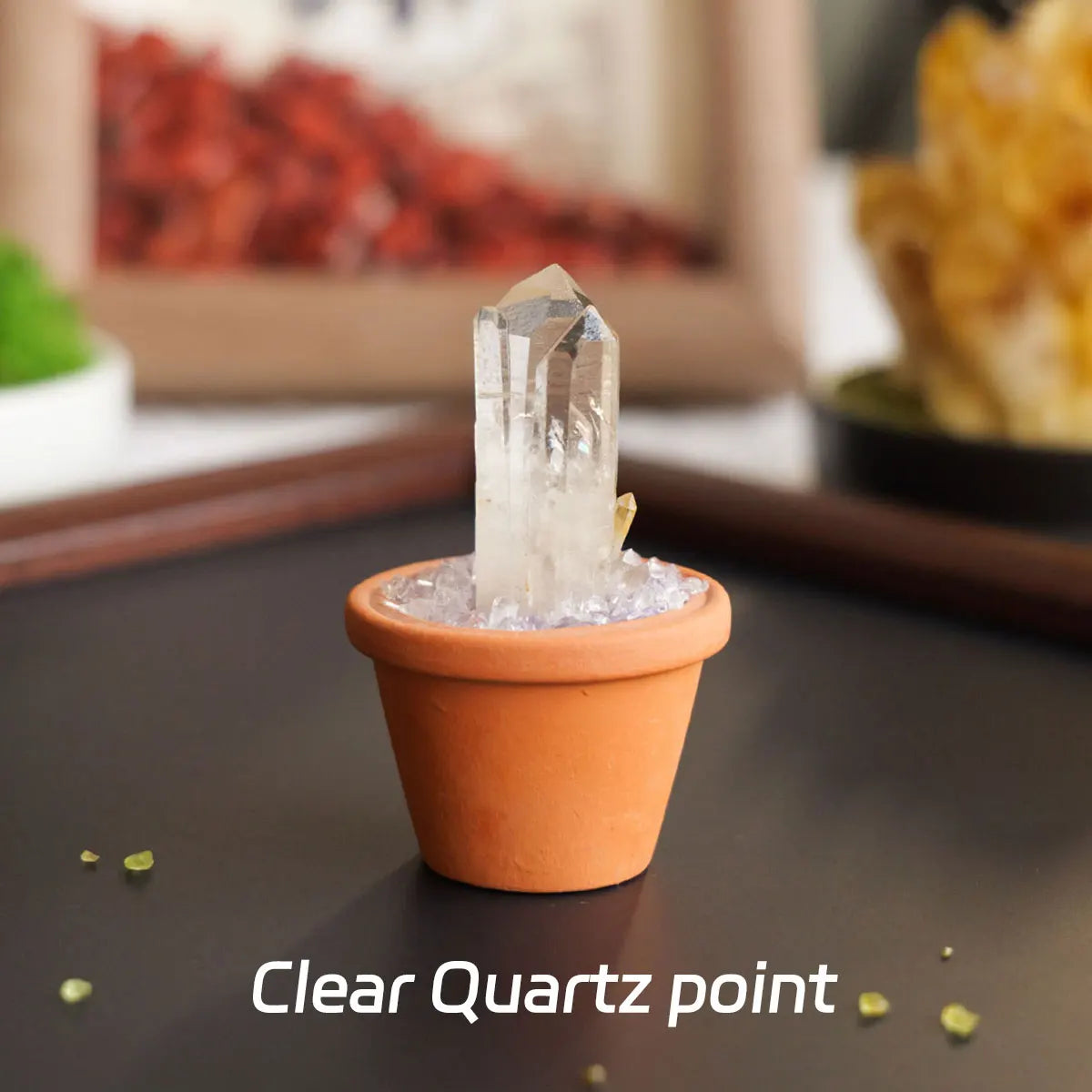 CrystalRoot™ Mini Gem Pot