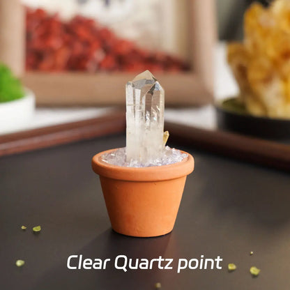 CrystalRoot™ Mini Gem Pot